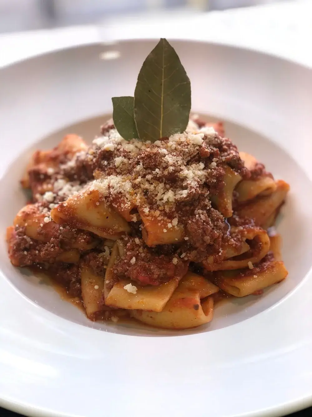 Fresh paccheri pasta, Beef ragú sauce and Parmesan cheese