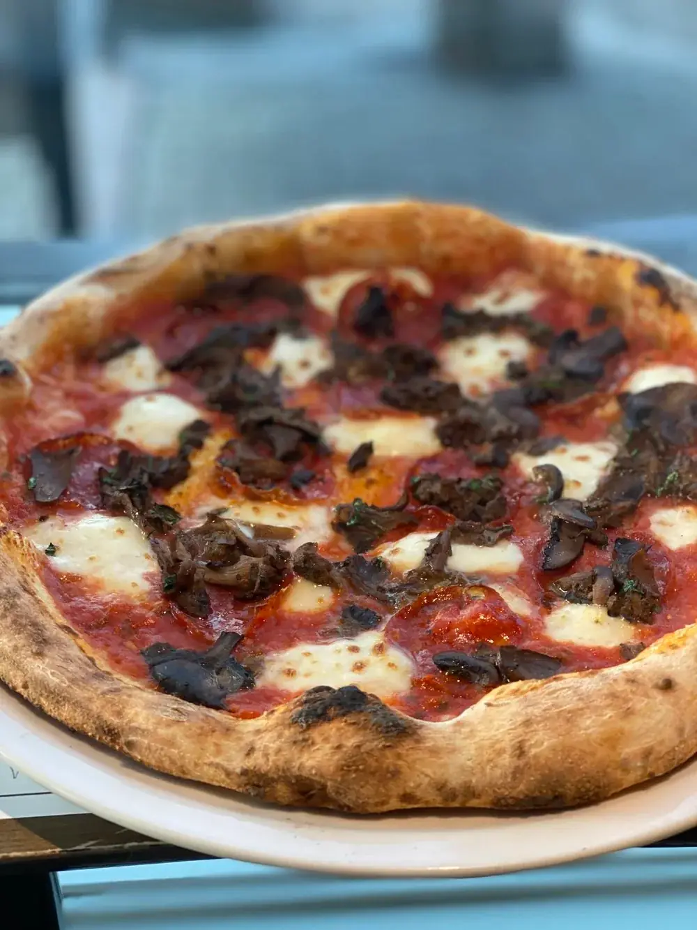 Water buffalo salami, wild mushrooms with porcini, thyme, fior di latte and parmesan cheese with a touch of tomato sauce.